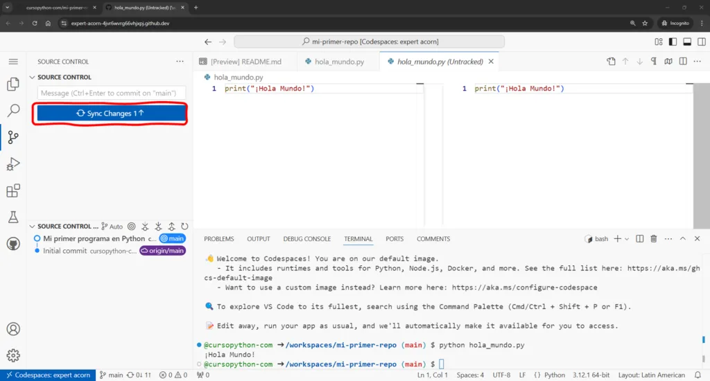 Screenshot guardando cambios en codespace